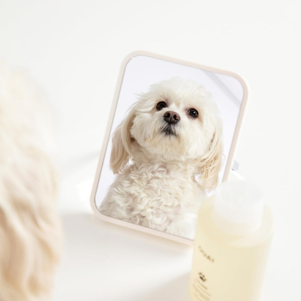 Pet Shampoo 16 Fl oz Z94305