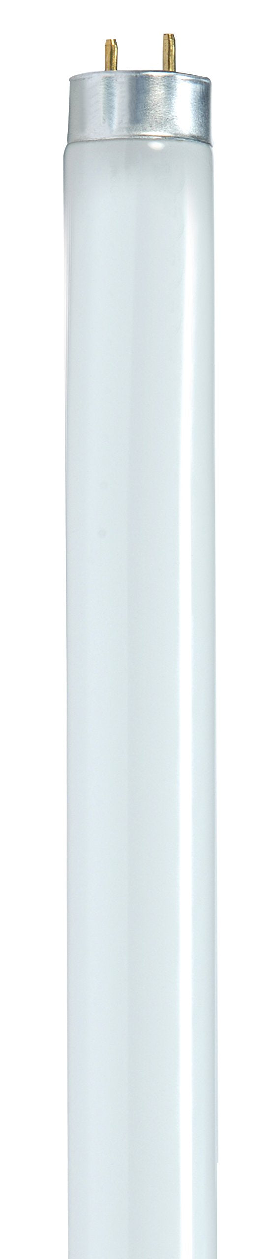 24-Inch 6500K 17-Watt T8 Daylight Lamp T2257