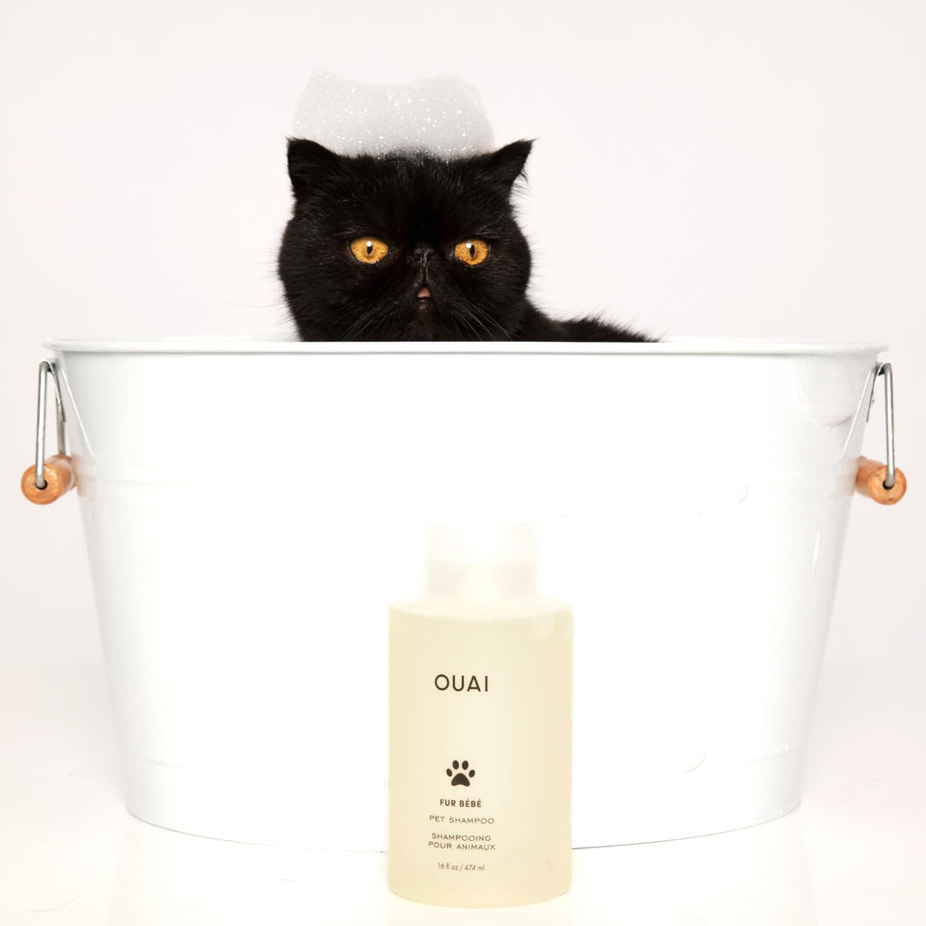 Pet Shampoo 16 Fl oz Z94305