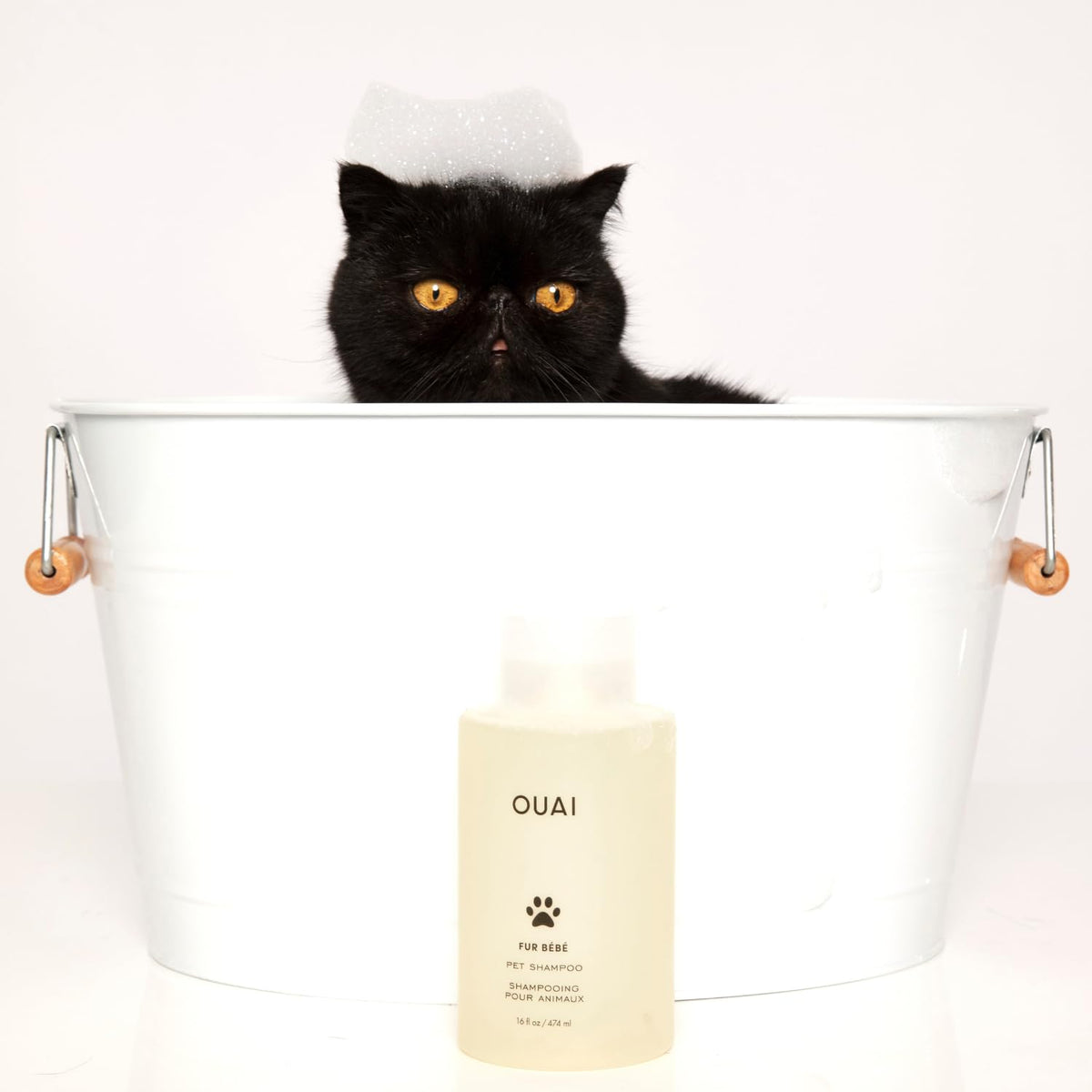 Pet Shampoo 16 Fl oz Z94305