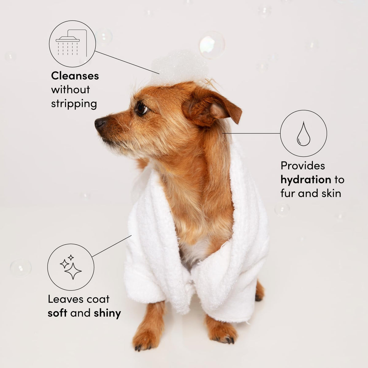 Pet Shampoo 16 Fl oz Z94305