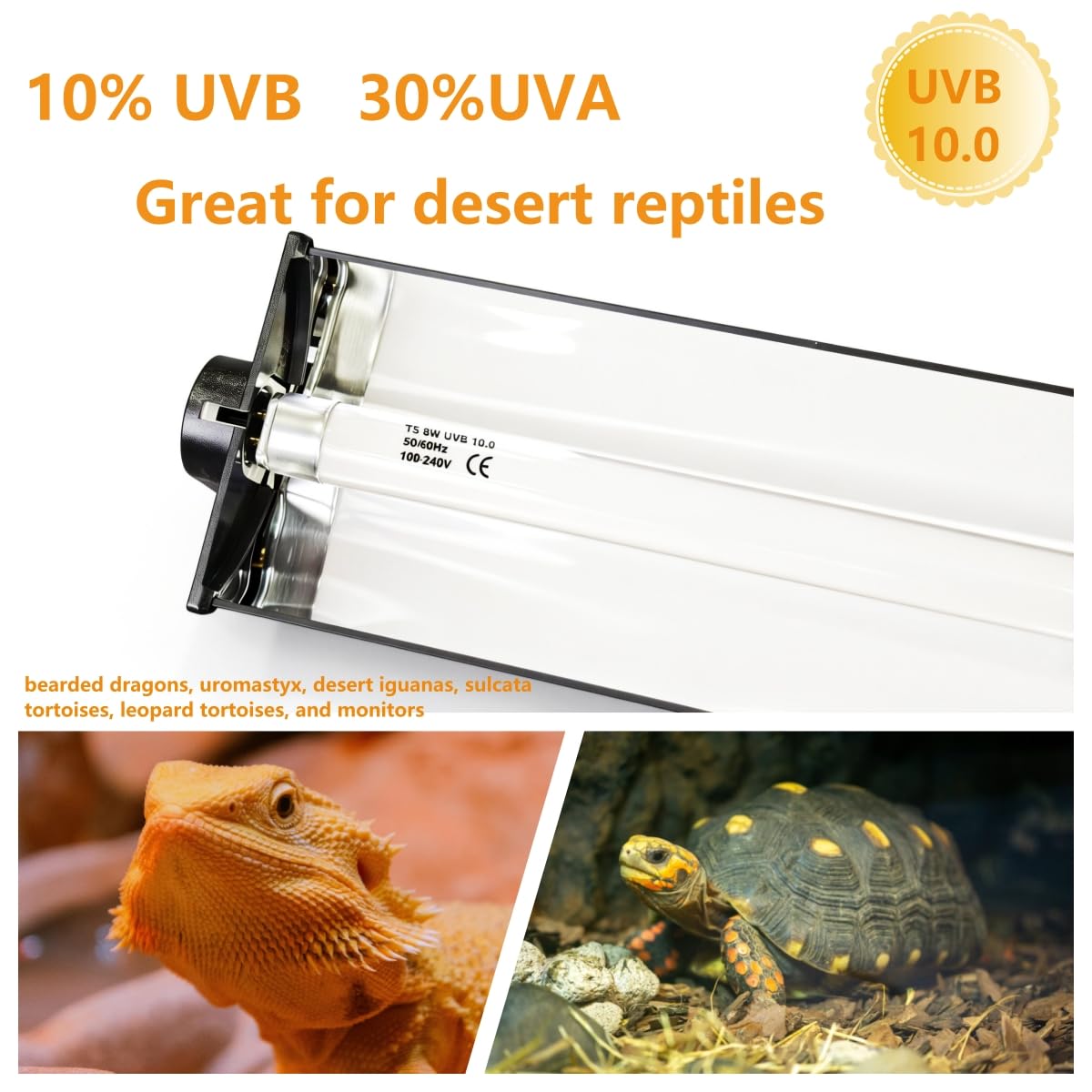 8W T5 UVB UVA Reptile Light Fixture and Bulb Kit F710913