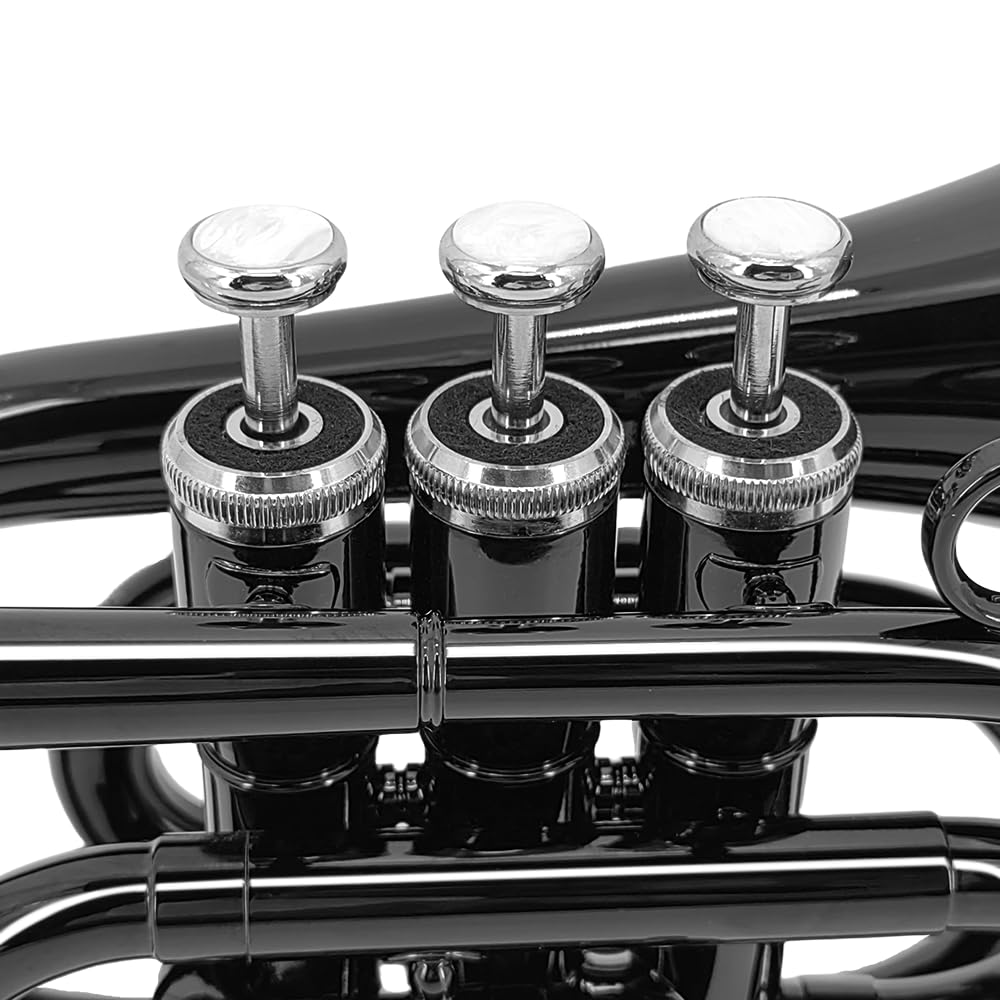 Brass B Flat Nickel Plated Pocket Trumpet with 7C Mouthpiece H3684