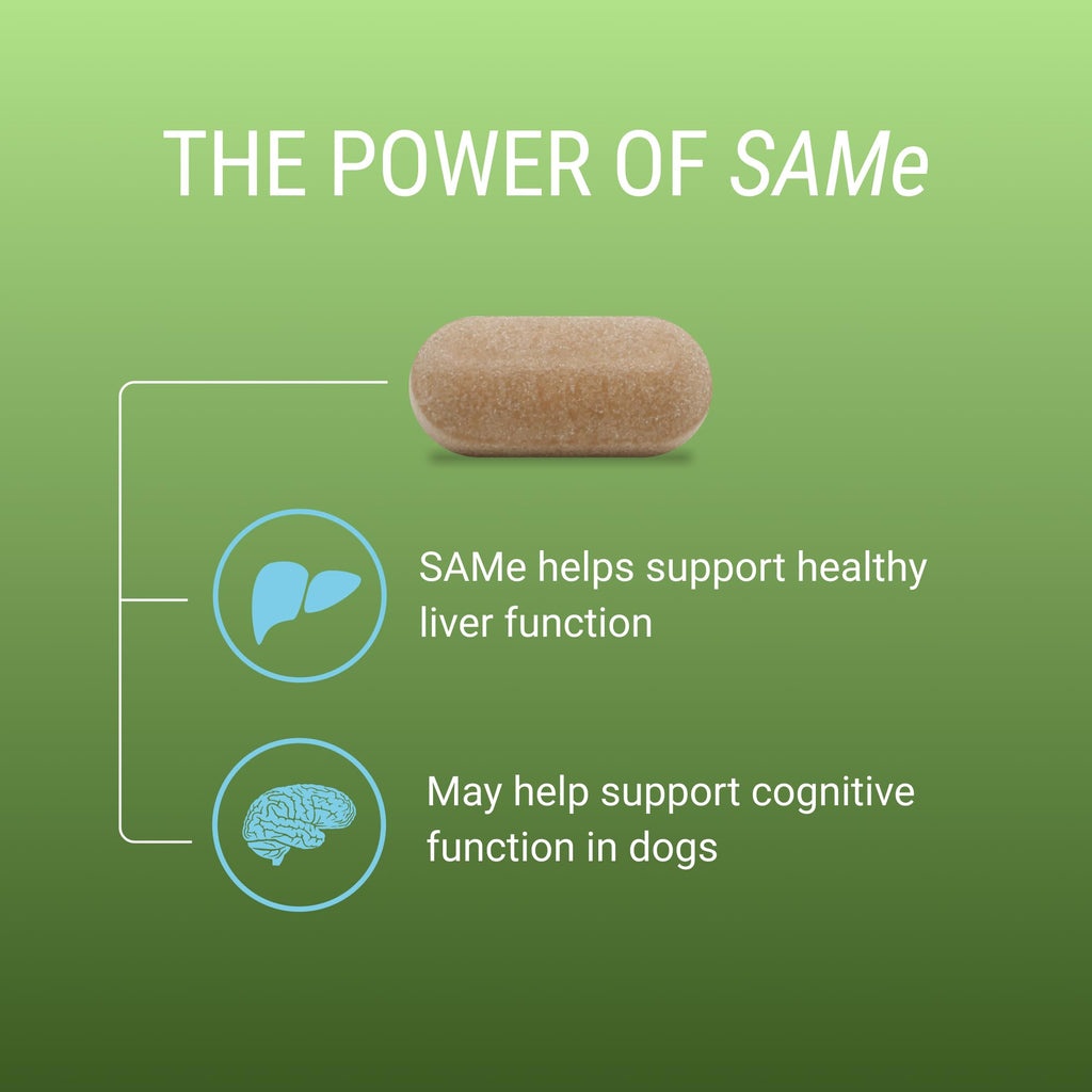 Liver & Brain Supplement for Large Dogs, 30ct Tablets M5671
