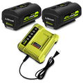 2-Pack 40V Lithium-Ion Battery and Charger Starter Kit L1721