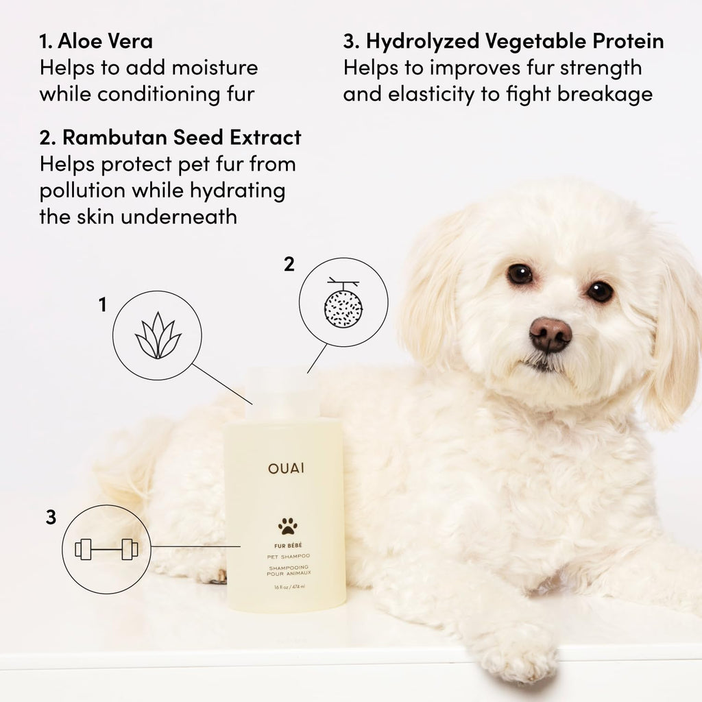 Pet Shampoo 16 Fl oz Z94305