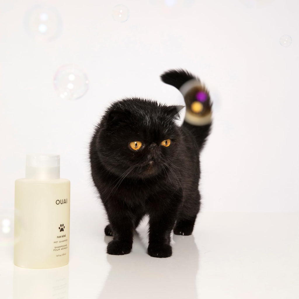 Pet Shampoo 16 Fl oz Z94305