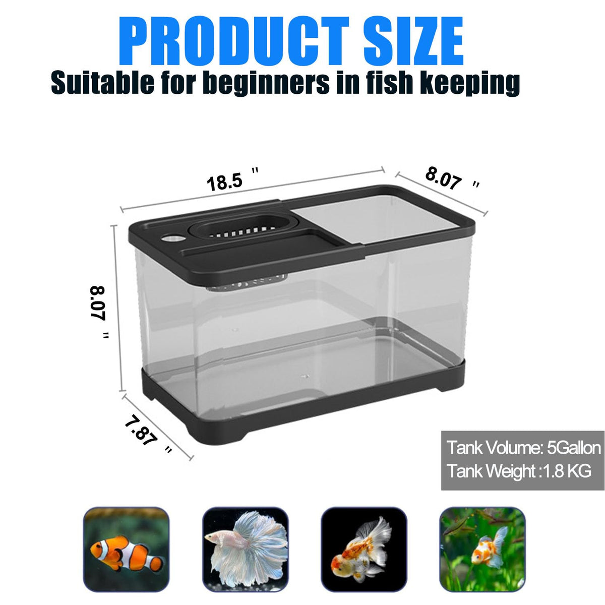 5 Gallon Plastic Fish Tank with Filter and Lid U872188