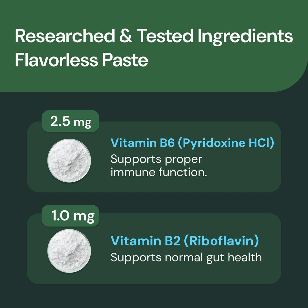 Unflavored 60 cc Paste P484
