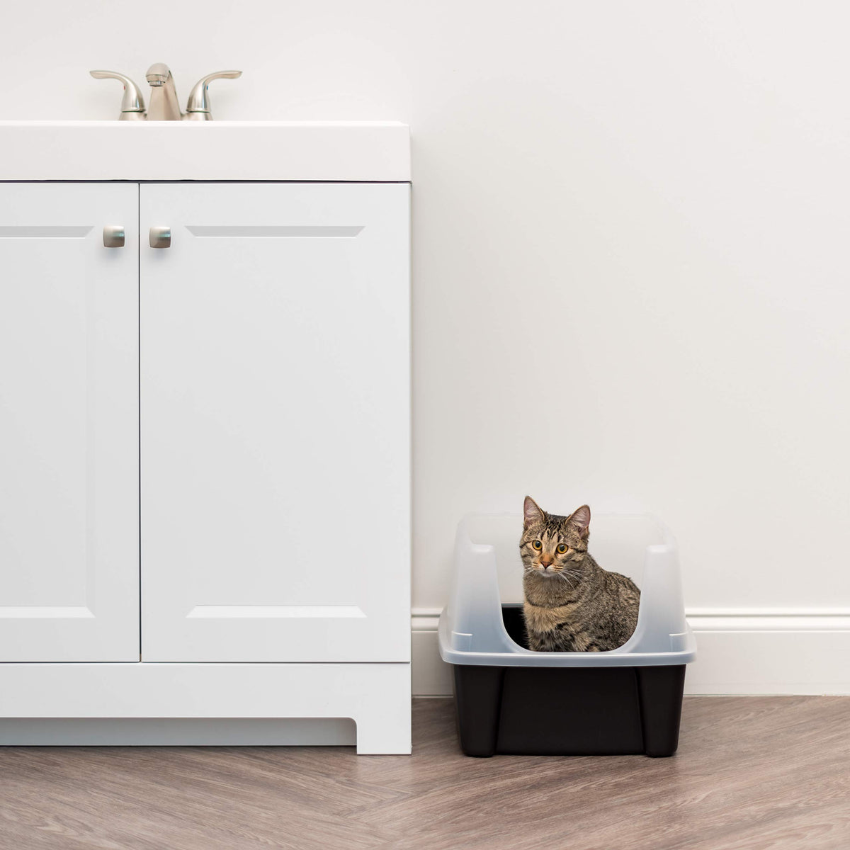 High Sided Cat Litter Box with Scatter Shield, Black P8306
