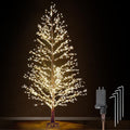 6FT Lighted Birch Tree with 1300 LED Lights Y84531