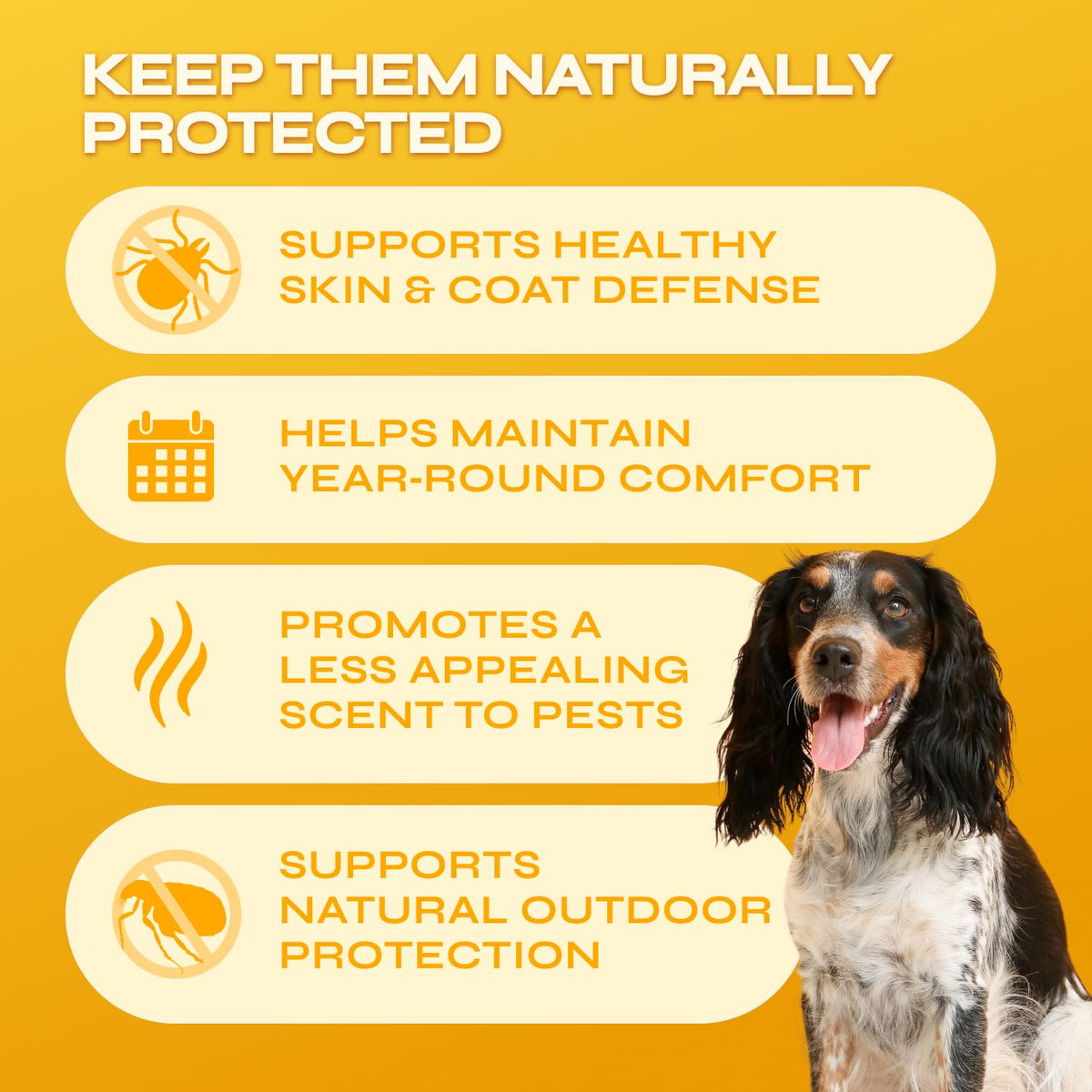 Flea and Tick Chewable Soft Treats for Dogs X847902