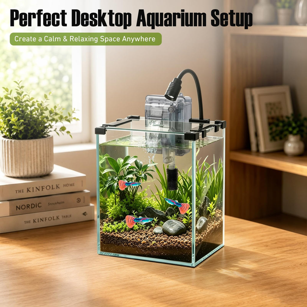 2.2 Gallon Glass Fish Tank Kit K754298