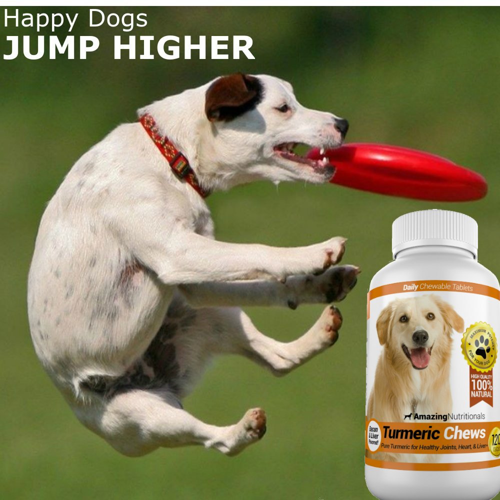 120 Chews Turmeric Curcumin Pet Antioxidant V2970