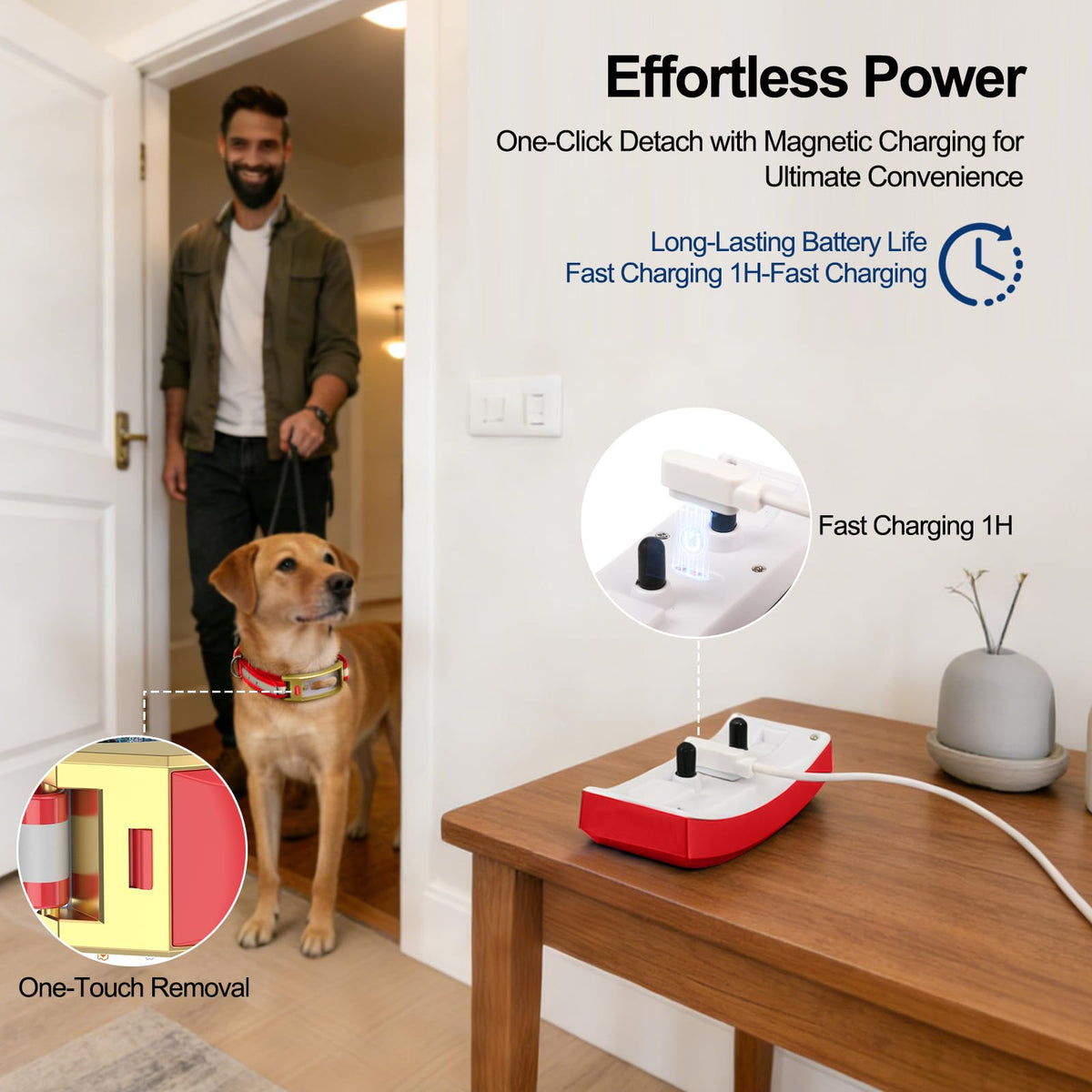 Red Wireless Electric GPS Dog Collar W1893