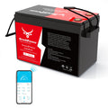 12V 330Ah LiFePO4 Battery with 200A BMS M482