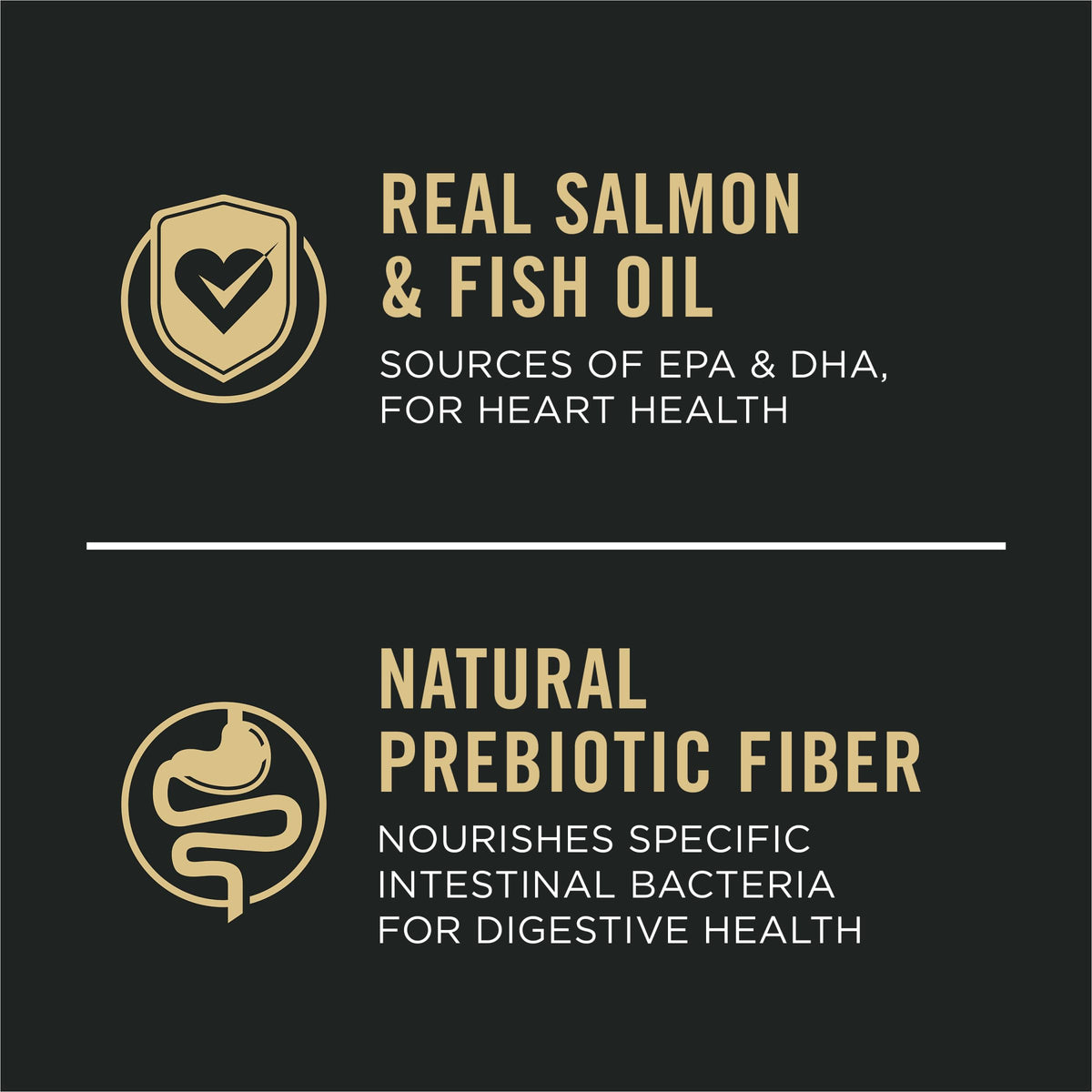 Salmon Dry Dog Food 30 lb Bag R675