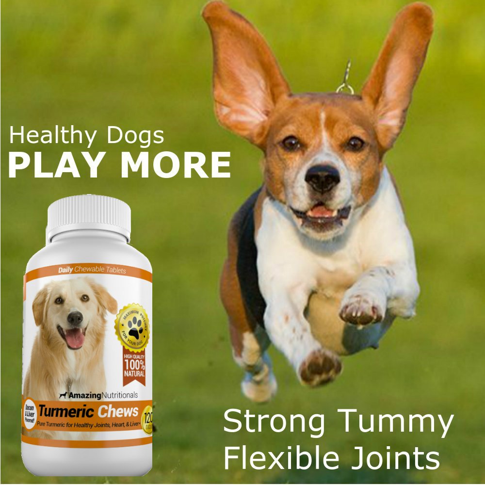 120 Chews Turmeric Curcumin Pet Antioxidant V2970