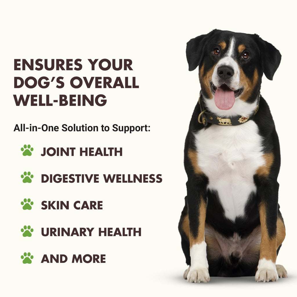 10-in-1 Dog Support 32 oz Unflavored T69722
