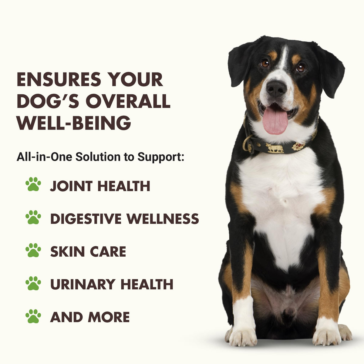 10-in-1 Dog Support 32 oz Unflavored T69722