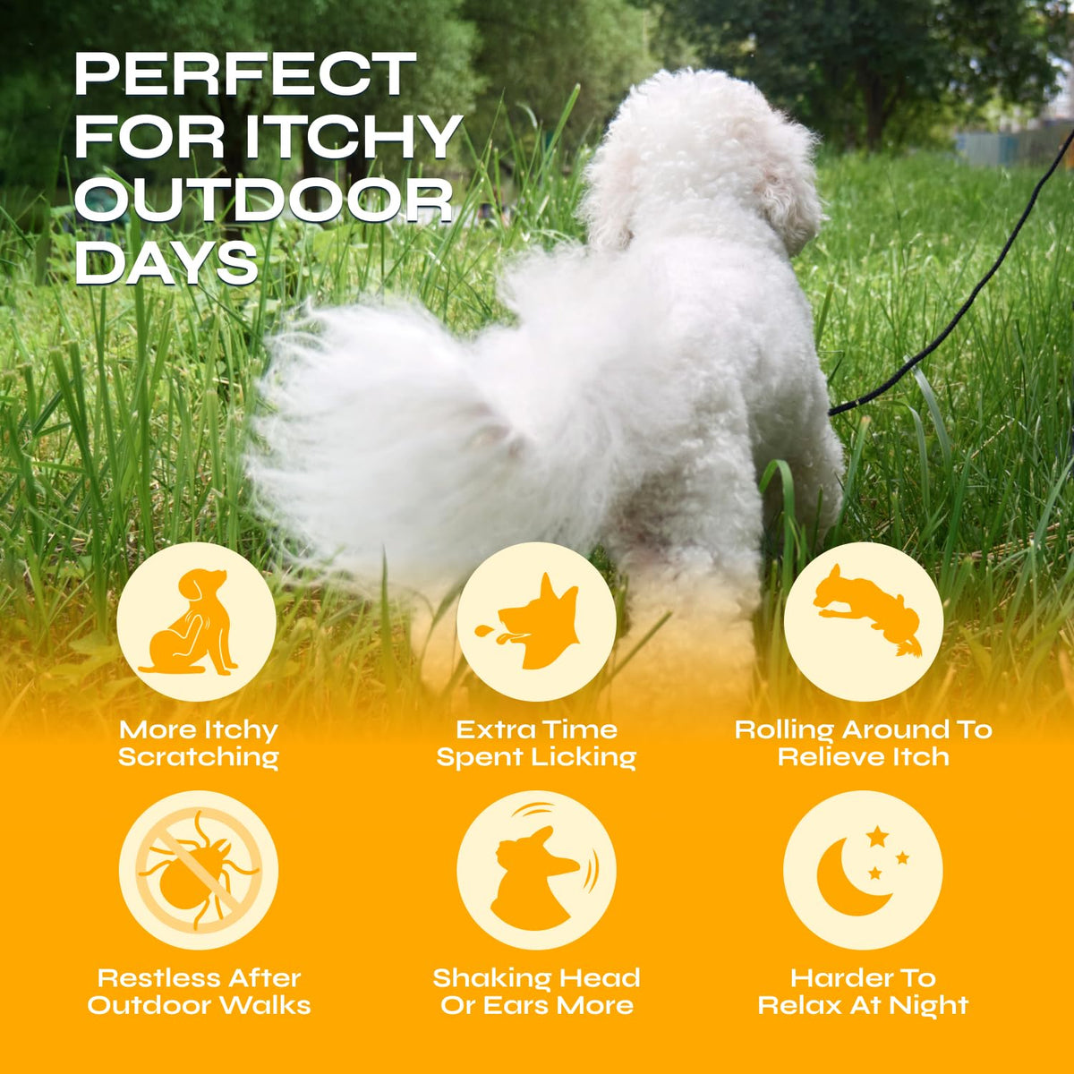 Flea and Tick Chewable Soft Treats for Dogs X847902