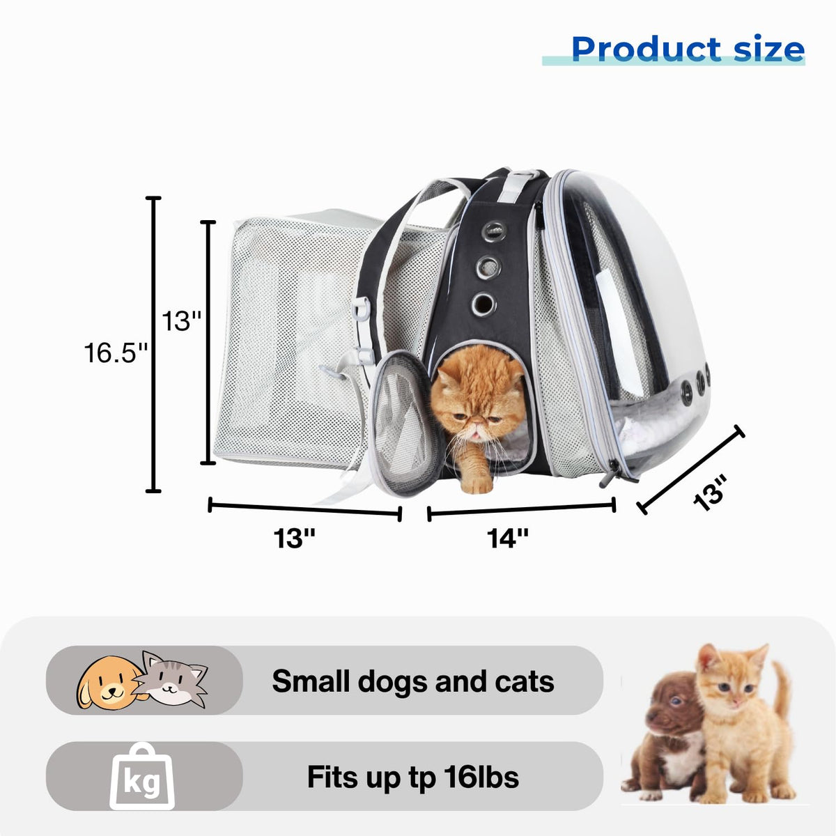 Expandable Cat Backpack with Mini Fan T275621