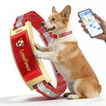 Red Wireless Electric GPS Dog Collar W1893