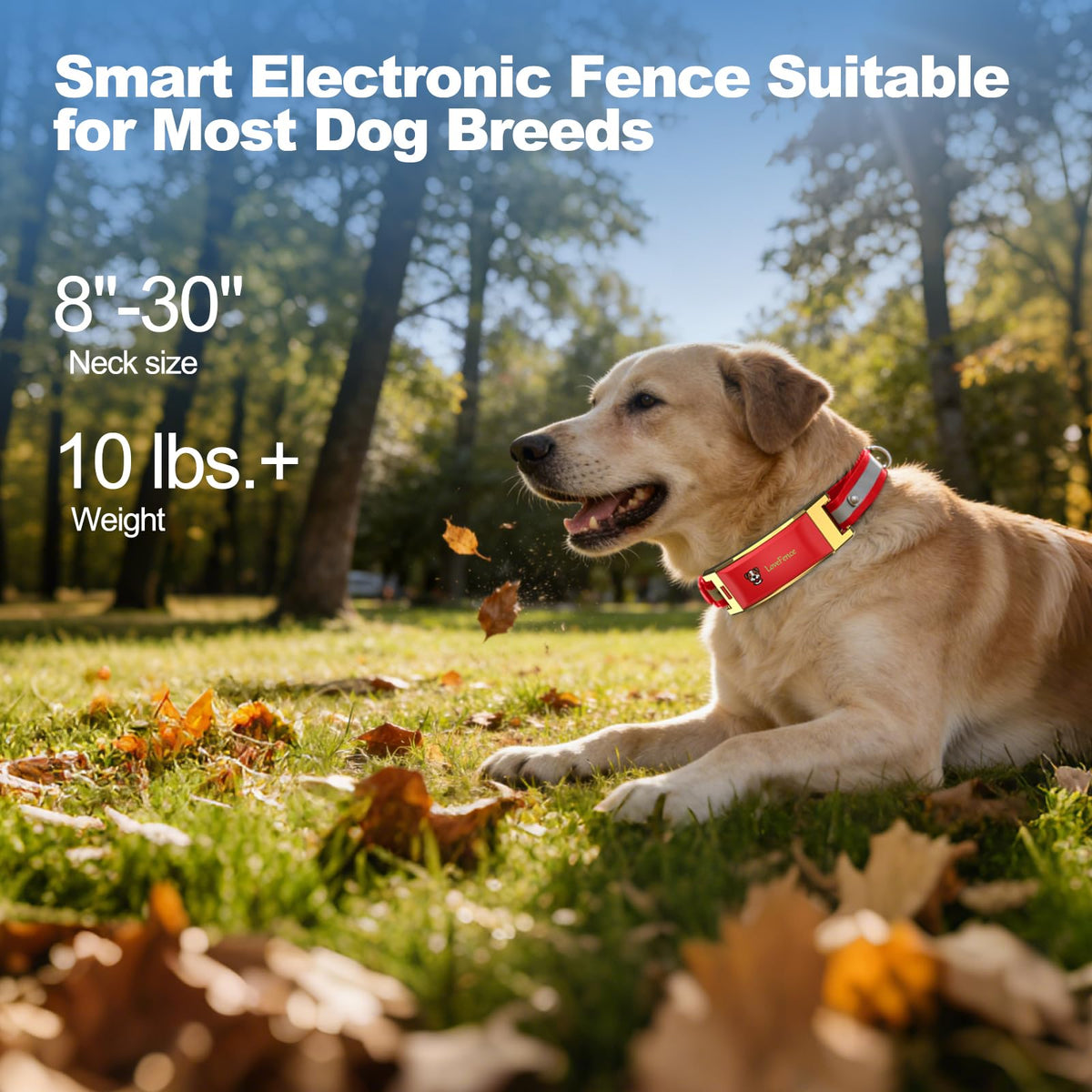Red Wireless Electric GPS Dog Collar W1893