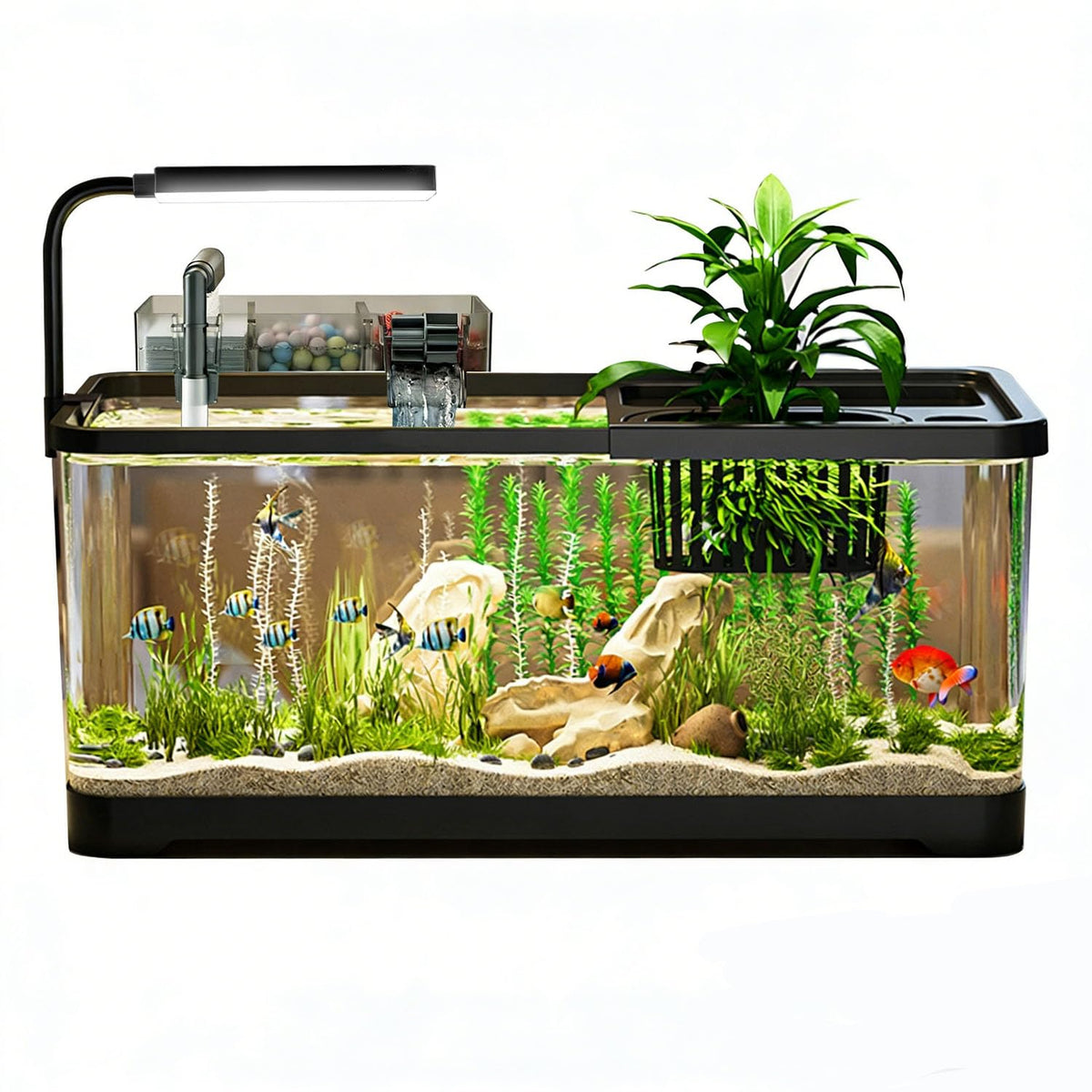 5 Gallon Plastic Fish Tank with Filter and Lid U872188