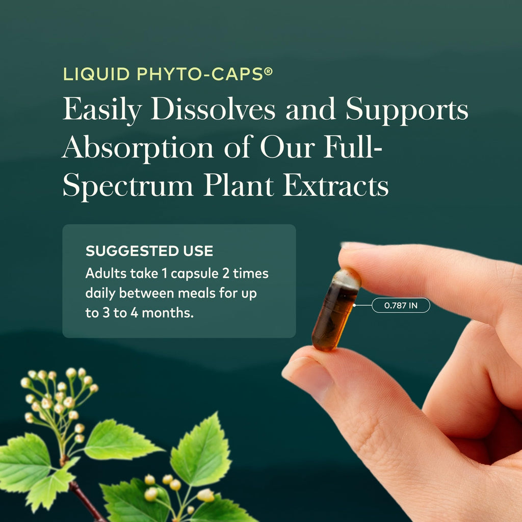 60 Vegan Capsules Liver Cleanse D368618