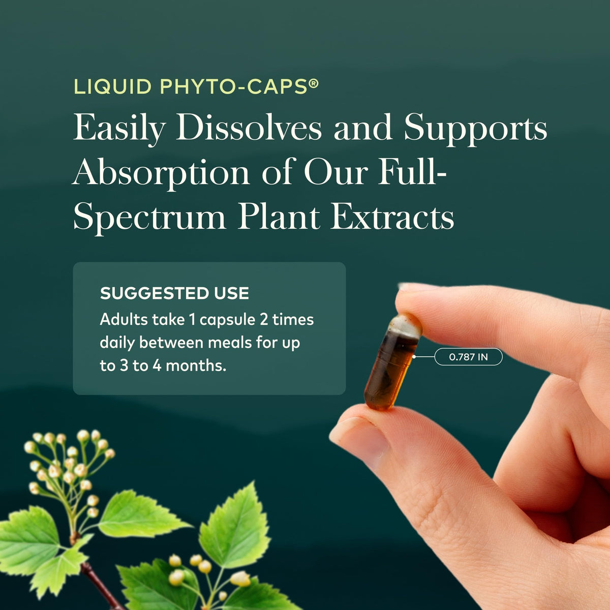 60 Vegan Capsules Liver Cleanse D368618