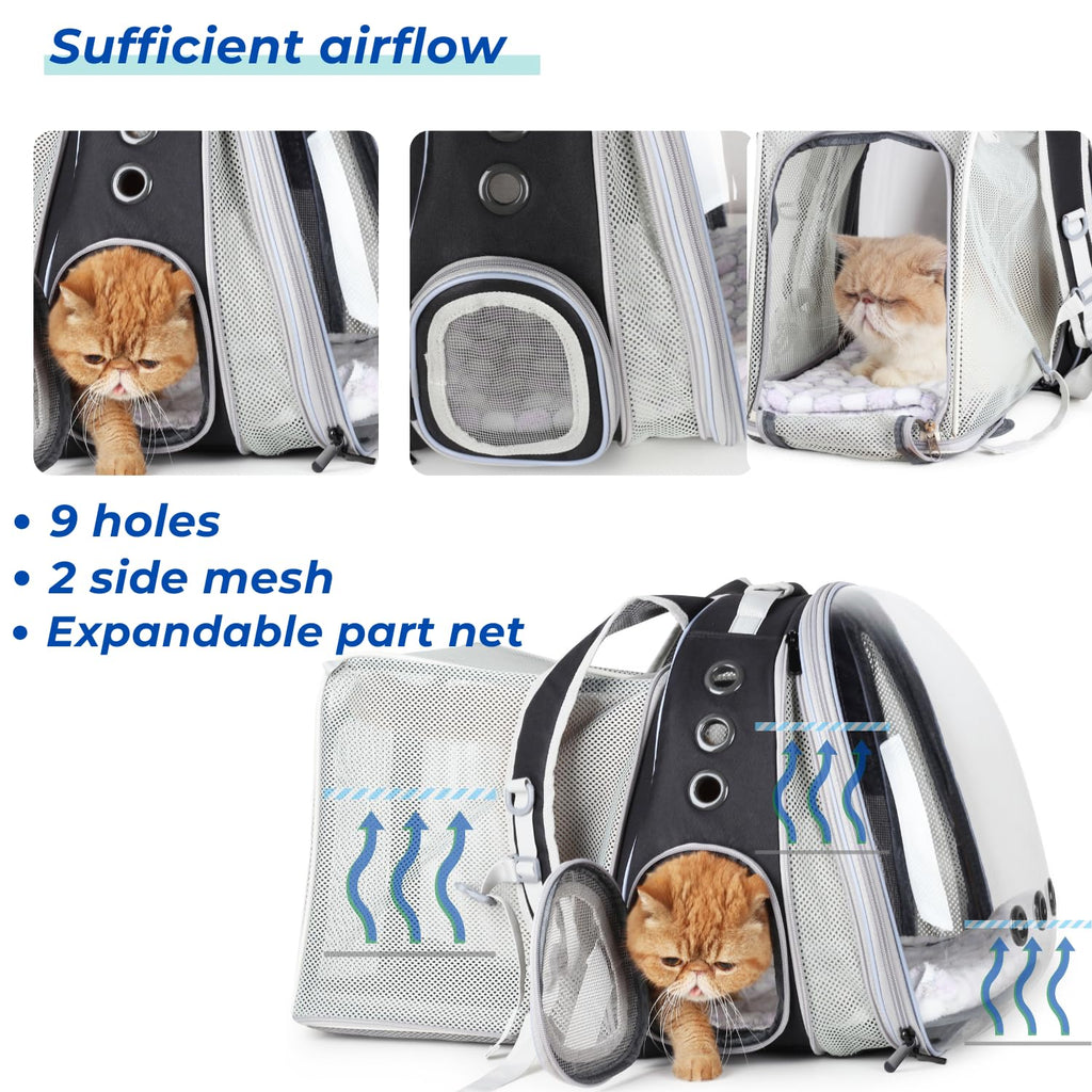 Expandable Cat Backpack with Mini Fan T275621