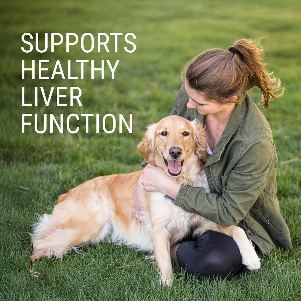 Liver & Brain Supplement for Large Dogs, 30ct Tablets M5671