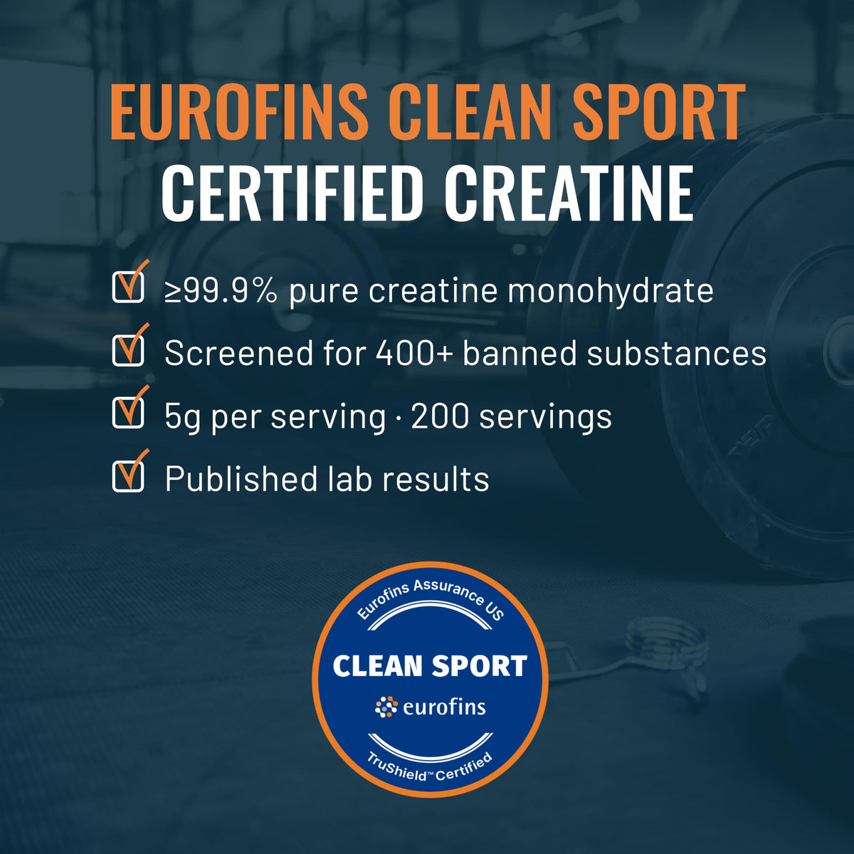 Unflavored Micronized Creatine Monohydrate Powder 1kg W12556