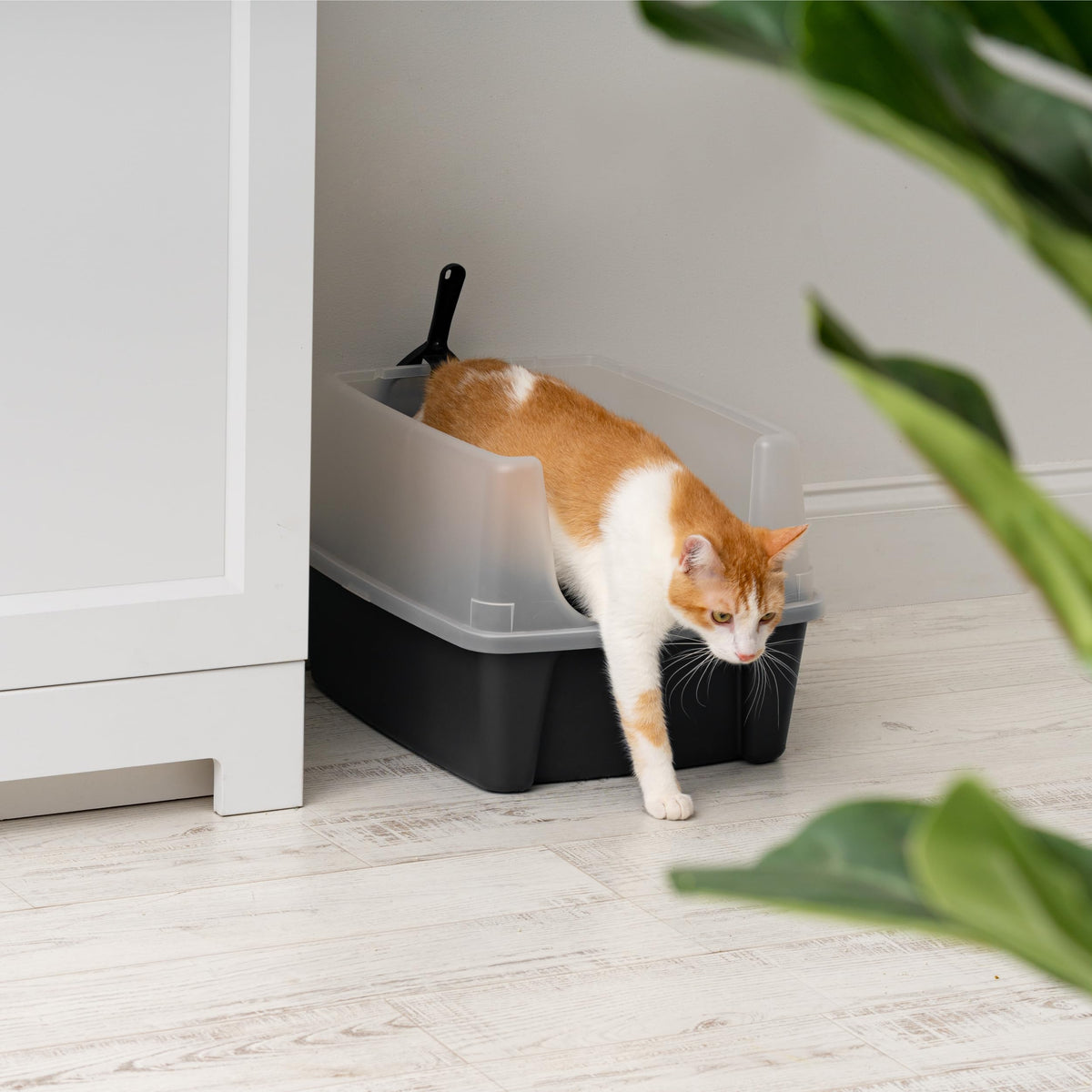 High Sided Cat Litter Box with Scatter Shield, Black P8306