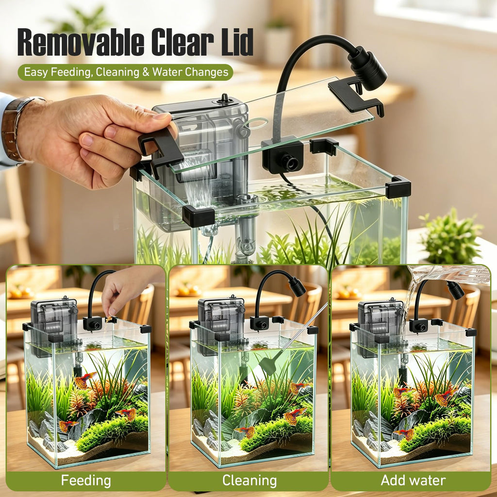 2.2 Gallon Glass Fish Tank Kit K754298
