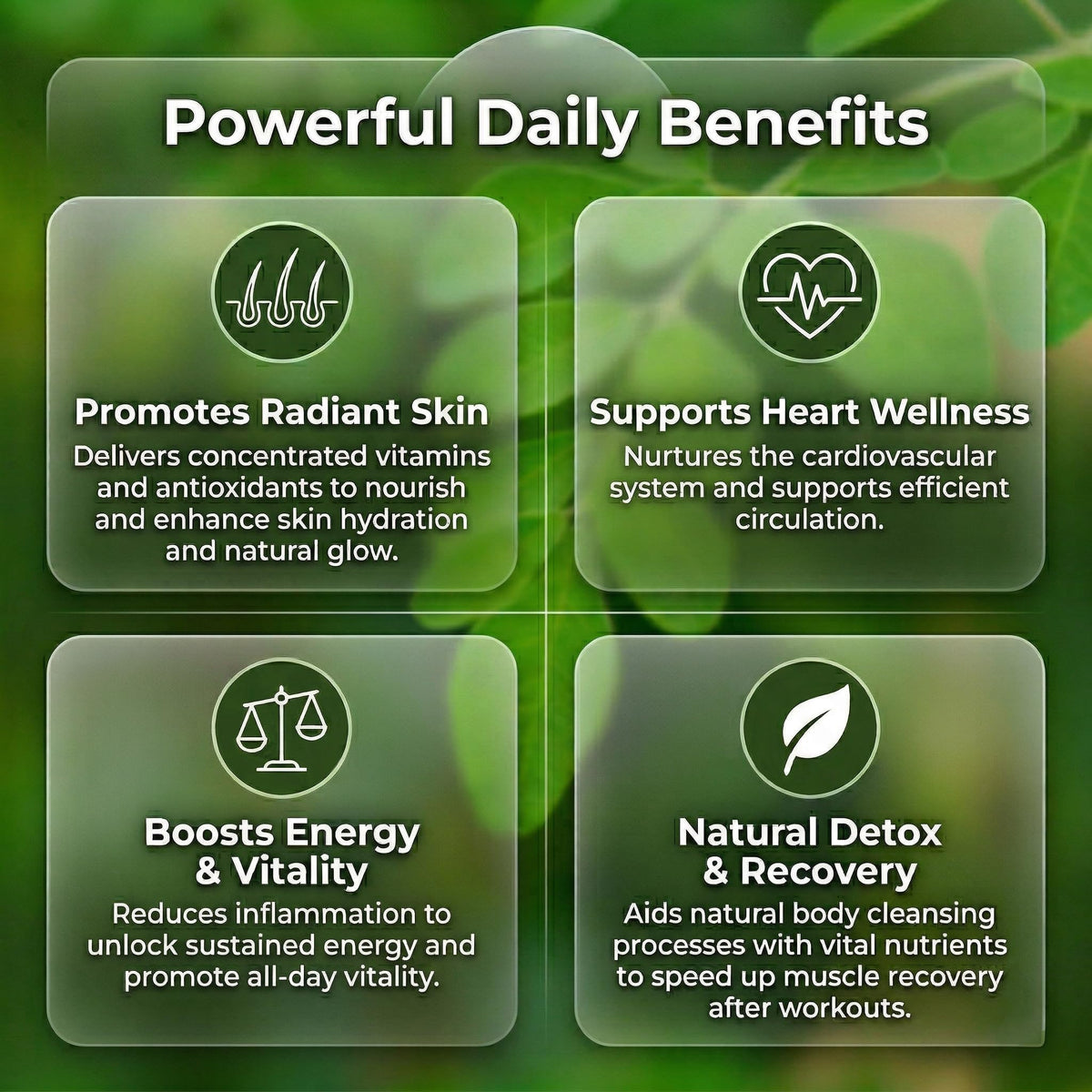 Moringa Capsules 240 Capsules B964