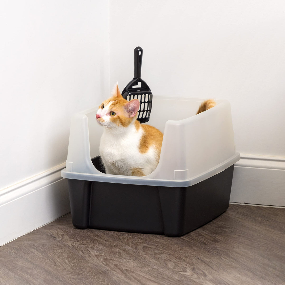 High Sided Cat Litter Box with Scatter Shield, Black P8306