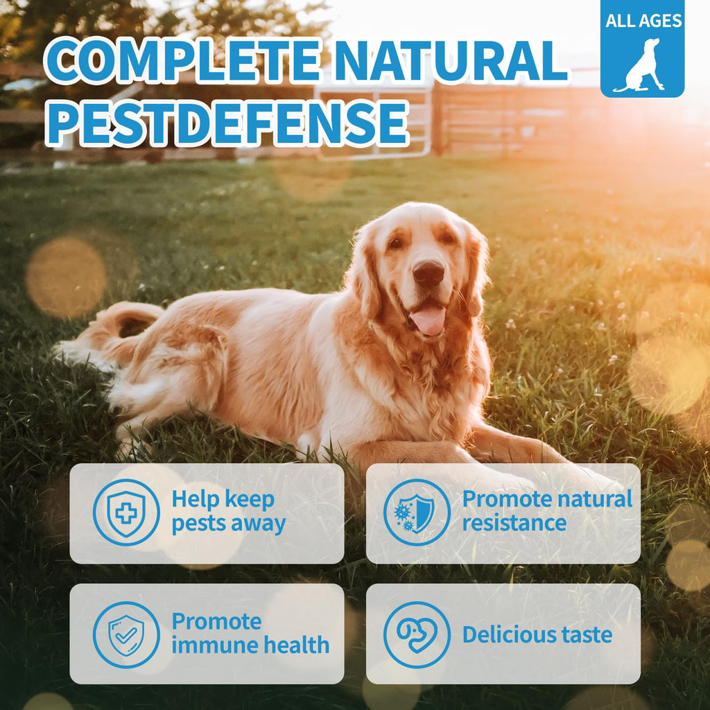 Flea and Tick Chewables 200Ct I684