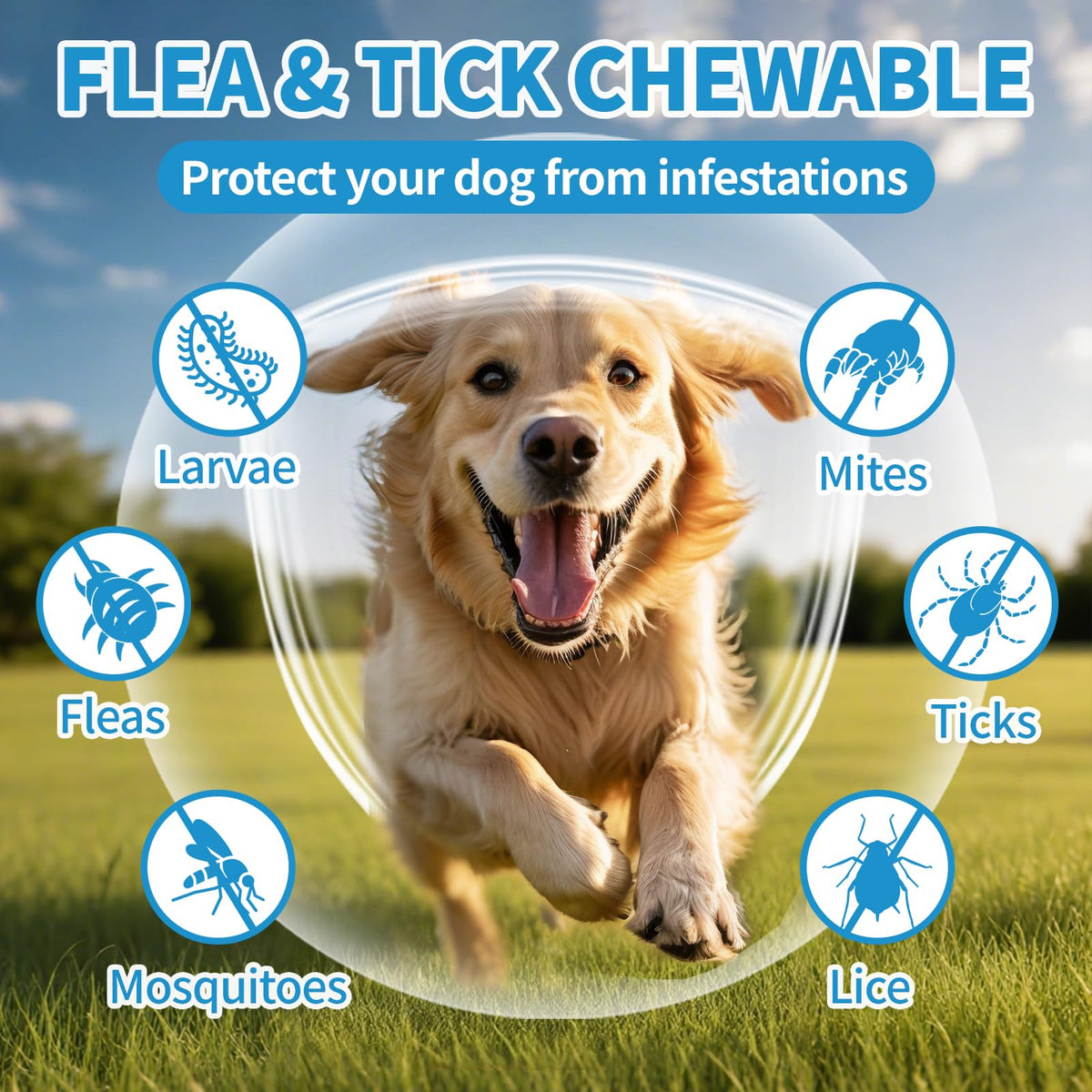 Flea and Tick Chewables 200Ct I684