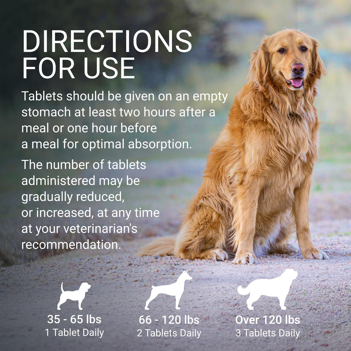 Liver & Brain Supplement for Large Dogs, 30ct Tablets M5671
