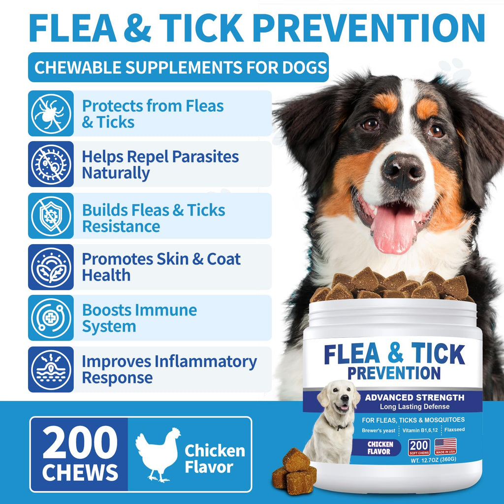 Flea and Tick Chewables 200Ct I684