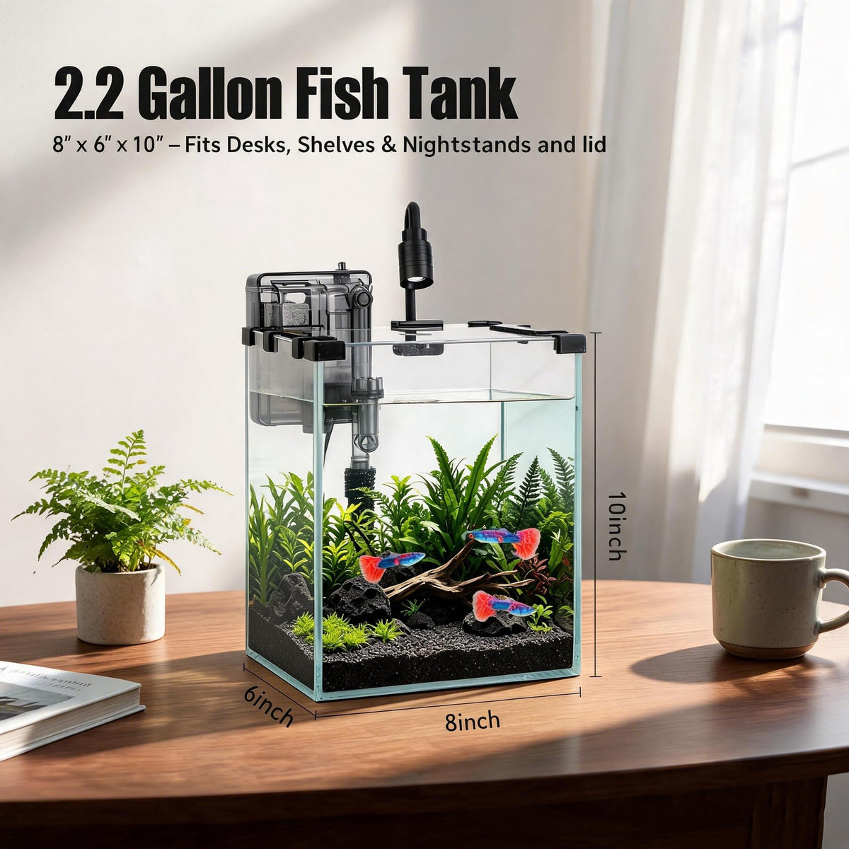 2.2 Gallon Glass Fish Tank Kit K754298