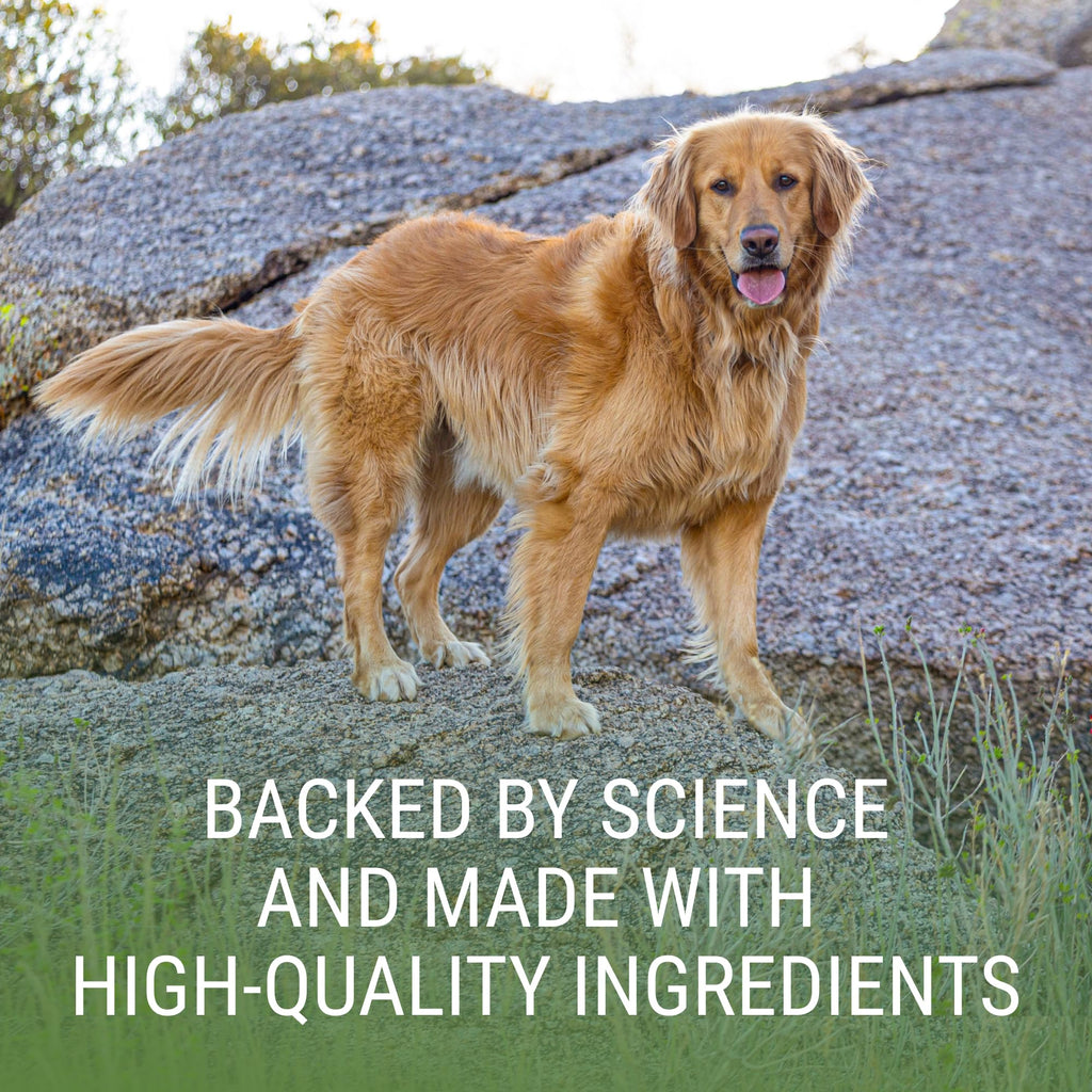 Liver & Brain Supplement for Large Dogs, 30ct Tablets M5671